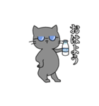スマート猫くん(日常)（個別スタンプ：6）
