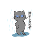 スマート猫くん(日常)（個別スタンプ：12）