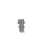 スマート猫くん(日常)（個別スタンプ：13）