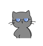 スマート猫くん(日常)（個別スタンプ：14）