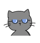 スマート猫くん(日常)（個別スタンプ：15）