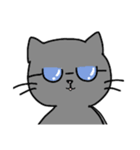 スマート猫くん(日常)（個別スタンプ：16）