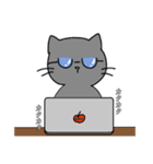 スマート猫くん(日常)（個別スタンプ：17）