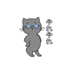 スマート猫くん(日常)（個別スタンプ：19）