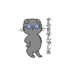 スマート猫くん(日常)（個別スタンプ：20）
