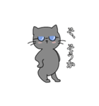 スマート猫くん(日常)（個別スタンプ：21）