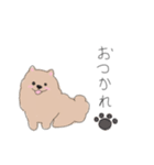 わんこいんそば（個別スタンプ：12）