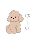 わんこいんそば（個別スタンプ：13）