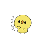 ひよこのぴー（個別スタンプ：5）
