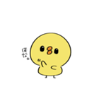 ひよこのぴー（個別スタンプ：24）