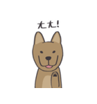 KKはダックスフンドではありません（個別スタンプ：1）