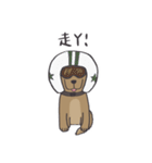 KKはダックスフンドではありません（個別スタンプ：28）