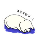 ゆるめな、しろいねこ（個別スタンプ：15）