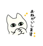 ゆるめな、しろいねこ（個別スタンプ：19）