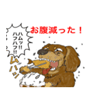 NO DACHS NO LIFE（個別スタンプ：3）