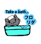 Korat (Happiness cat) English Sticker（個別スタンプ：15）