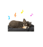 My name is Tama2（個別スタンプ：11）