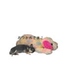 My name is Tama2（個別スタンプ：16）