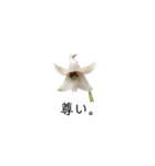 My name is Tama2（個別スタンプ：17）