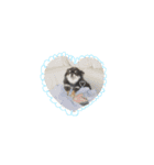 My name is Tama2（個別スタンプ：21）