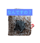 こたつぅ（個別スタンプ：3）