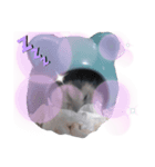 こたつぅ（個別スタンプ：4）