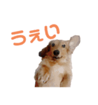 まるとれおのほのぼのちっく（個別スタンプ：5）