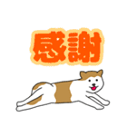 でか文字スタンプ mocha jasmine×秋田犬（個別スタンプ：9）