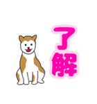 でか文字スタンプ mocha jasmine×秋田犬（個別スタンプ：11）