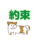 でか文字スタンプ mocha jasmine×秋田犬（個別スタンプ：17）