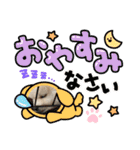 ポメラニアン万福プクプク3（個別スタンプ：8）