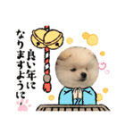 ポメラニアン万福プクプク3（個別スタンプ：17）