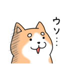 無気力あにまるズ 3（個別スタンプ：3）