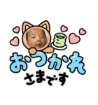 しゅん＆かいと（個別スタンプ：8）