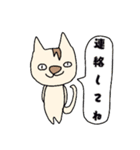 カラフルな猫（日常）（個別スタンプ：21）