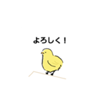 手書きのひよこスタンプ（個別スタンプ：1）