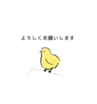 手書きのひよこスタンプ（個別スタンプ：2）