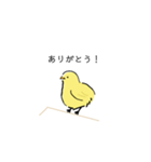 手書きのひよこスタンプ（個別スタンプ：4）