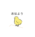 手書きのひよこスタンプ（個別スタンプ：5）