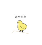 手書きのひよこスタンプ（個別スタンプ：6）