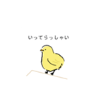 手書きのひよこスタンプ（個別スタンプ：9）