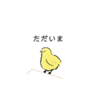 手書きのひよこスタンプ（個別スタンプ：12）