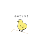 手書きのひよこスタンプ（個別スタンプ：13）