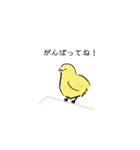 手書きのひよこスタンプ（個別スタンプ：14）