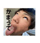 飛び出せ！光の森！（個別スタンプ：4）