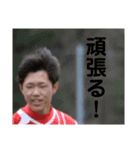 飛び出せ！光の森！（個別スタンプ：7）