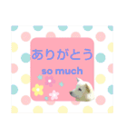 大きめ文字で読みやすい絶対使えるフレーズ（個別スタンプ：6）