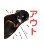 こはむぎげんまいver.2（個別スタンプ：8）