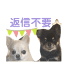 こはむぎげんまいver.2（個別スタンプ：18）