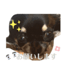 こはむぎげんまいver.2（個別スタンプ：20）
